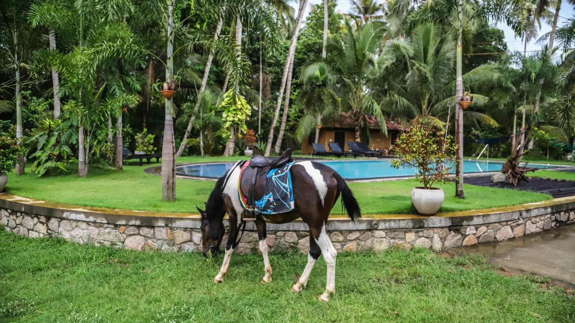 Hotel Riverrina Negombo