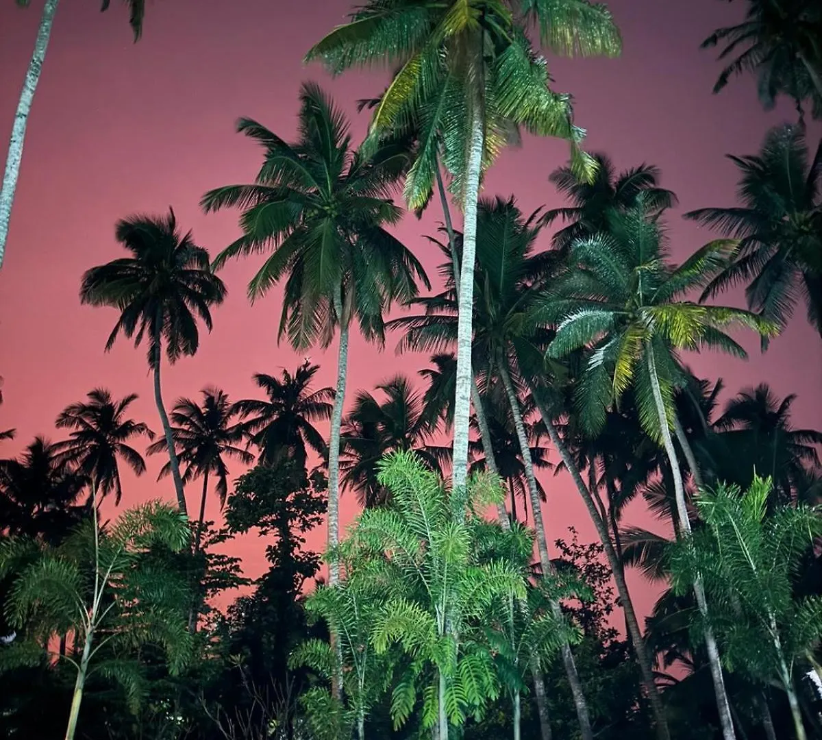 Hotel Riverrina Negombo