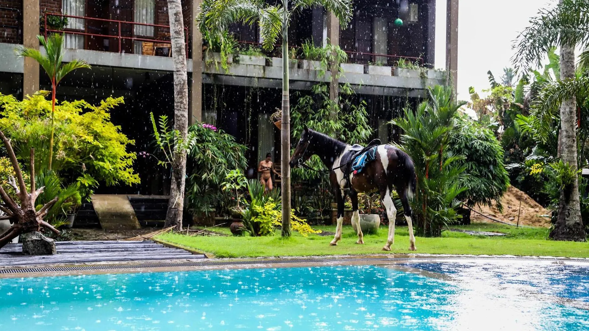 Hotel Riverrina Negombo 0*,
